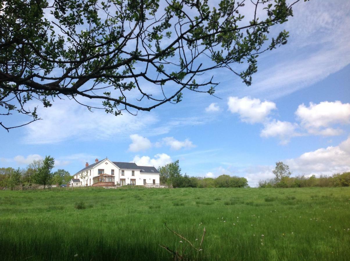 Appartement Penddaulwyn Uchaf Farm # Carmarthenshire à Nantgaredig Extérieur photo