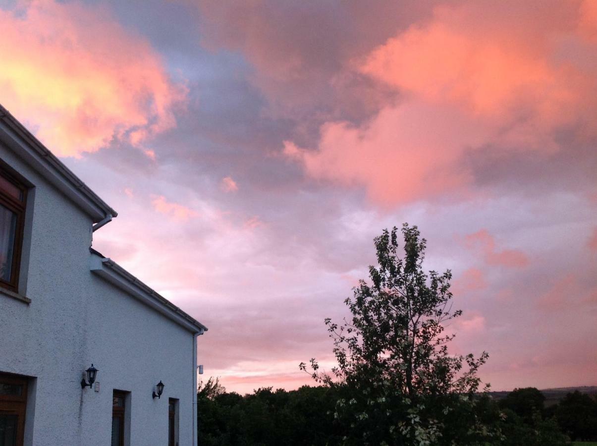 Appartement Penddaulwyn Uchaf Farm # Carmarthenshire à Nantgaredig Extérieur photo