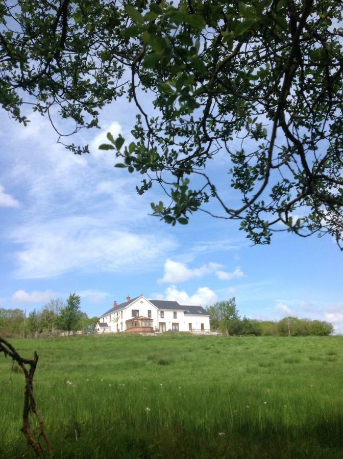 Appartement Penddaulwyn Uchaf Farm # Carmarthenshire à Nantgaredig Extérieur photo